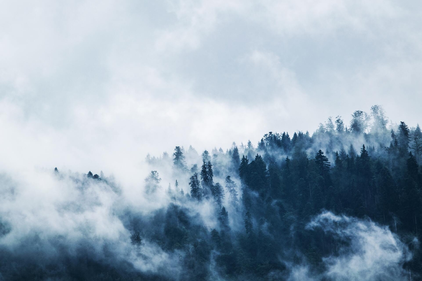 Lorem Ipsum Dolor Sit Amet